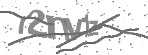 visual captcha
